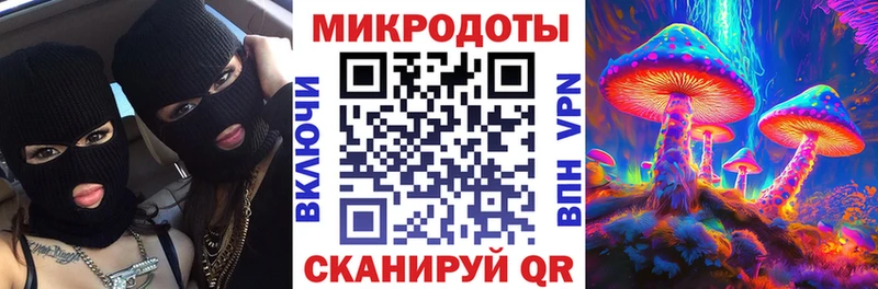Псилоцибиновые грибы прущие грибы Дальнегорск